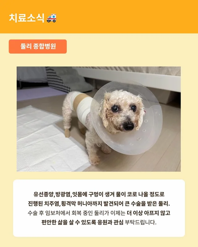 위액트 8월호 월간 뉴스레터 현장 사진