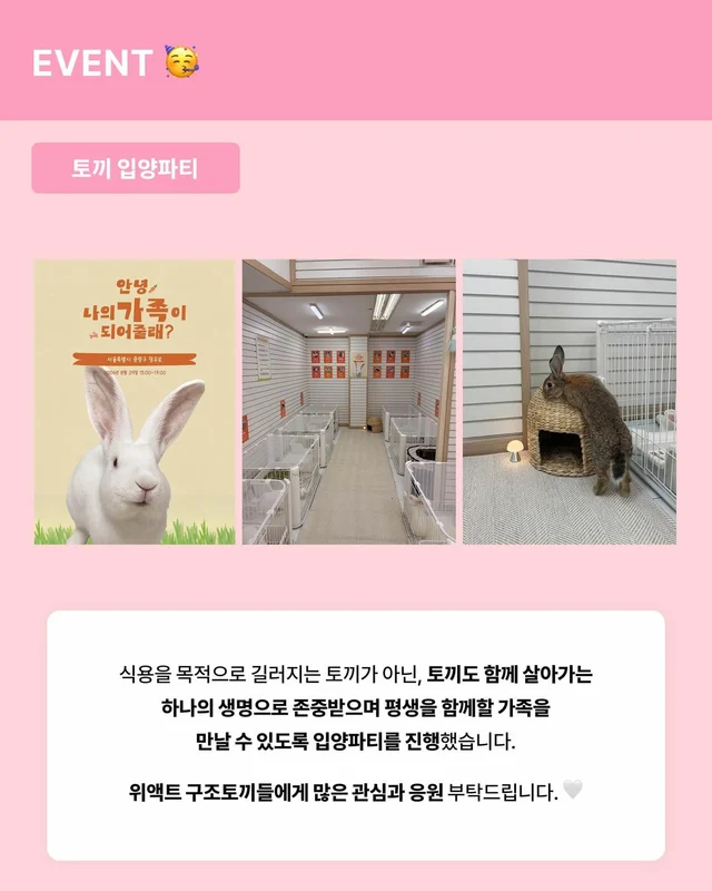 위액트 8월호 월간 뉴스레터 현장 사진