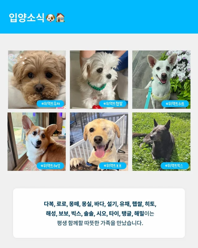 위액트 8월호 월간 뉴스레터 현장 사진