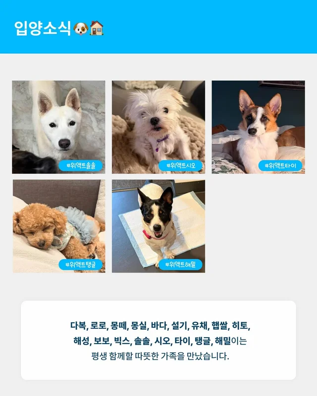 위액트 8월호 월간 뉴스레터 현장 사진