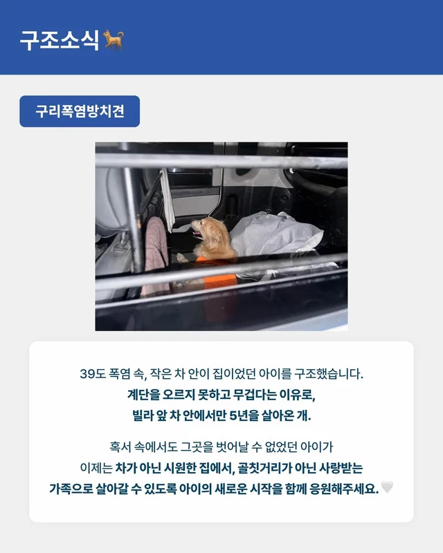 위액트 8월호 월간 뉴스레터 현장 사진
