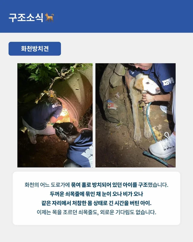 위액트 8월호 월간 뉴스레터 현장 사진