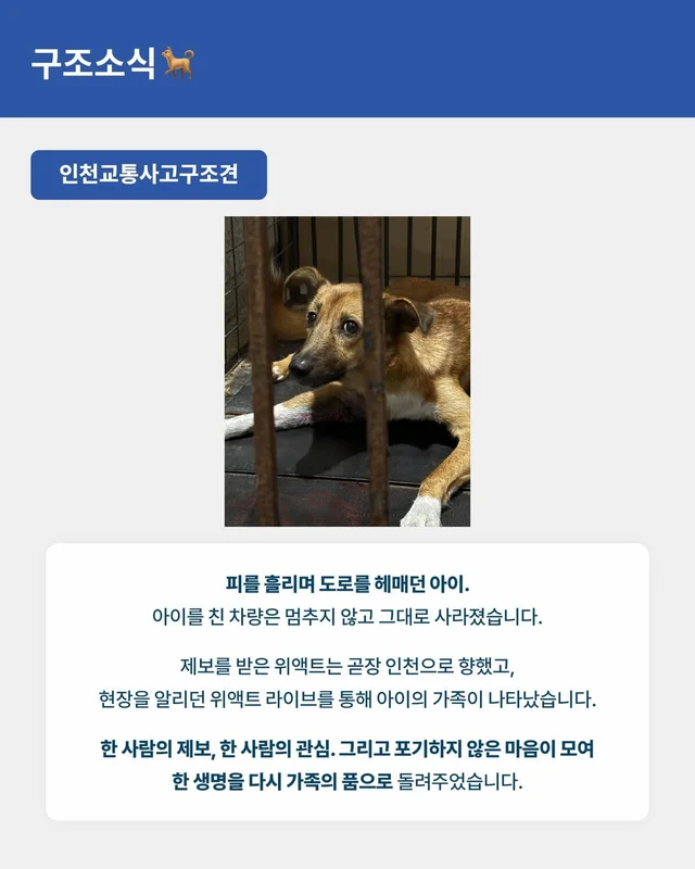 위액트 8월호 월간 뉴스레터 현장 사진