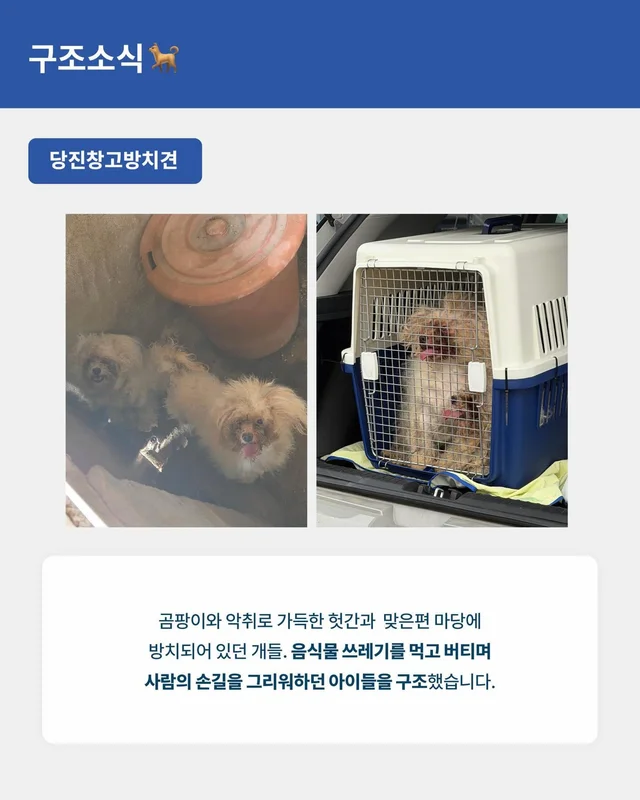 위액트 8월호 월간 뉴스레터 현장 사진