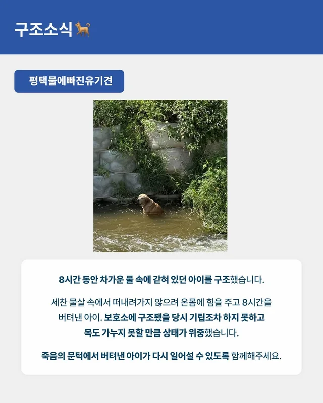 위액트 8월호 월간 뉴스레터 현장 사진
