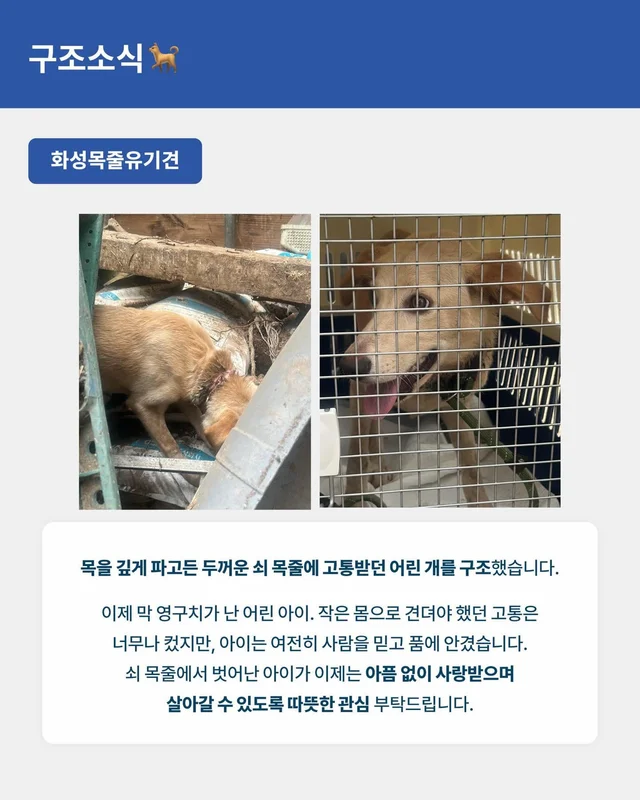 위액트 8월호 월간 뉴스레터 현장 사진