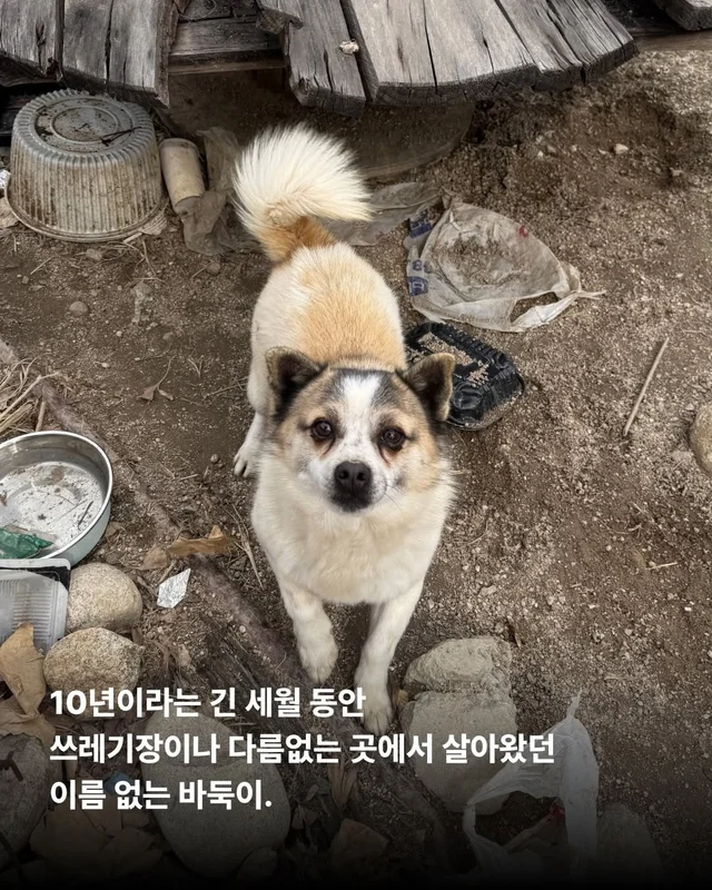 세상을 향해 날릴 멋진 한 방, 펀치! 현장 사진