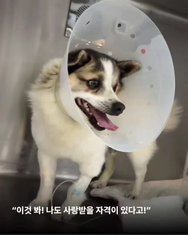 세상을 향해 날릴 멋진 한 방, 펀치! 현장 사진