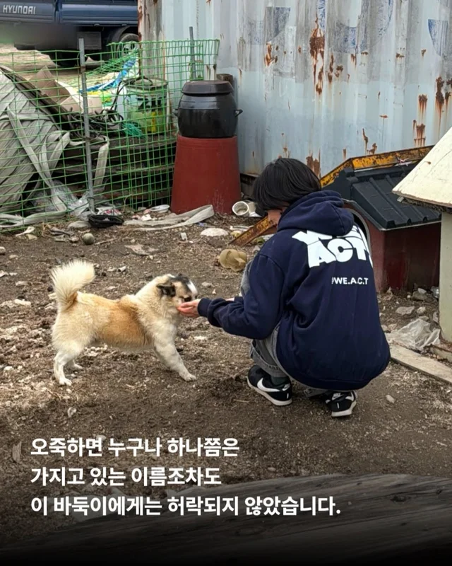 세상을 향해 날릴 멋진 한 방, 펀치! 현장 사진