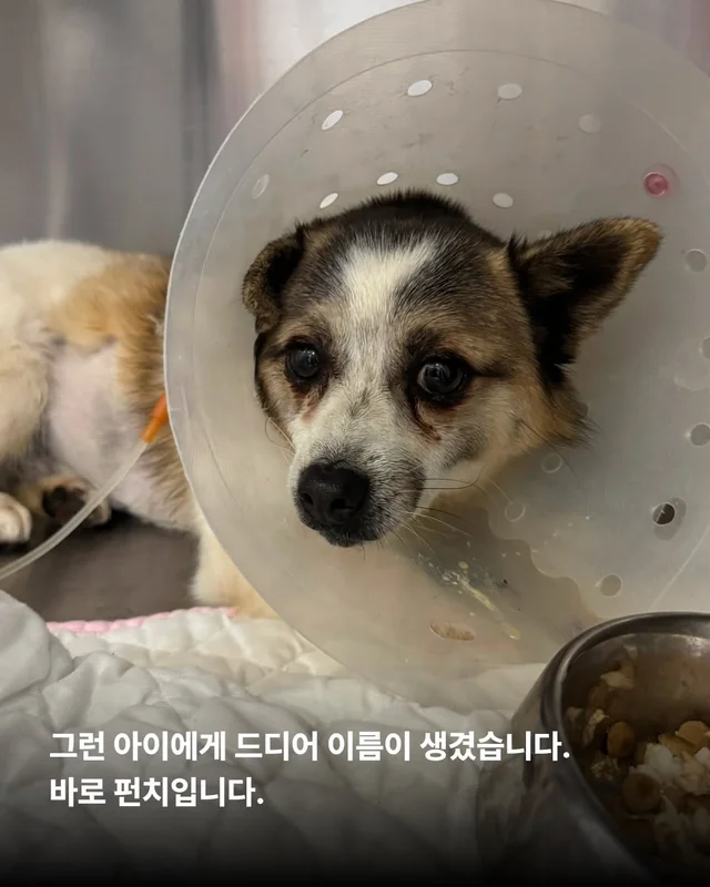 세상을 향해 날릴 멋진 한 방, 펀치! 현장 사진