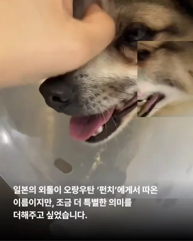 세상을 향해 날릴 멋진 한 방, 펀치! 현장 사진