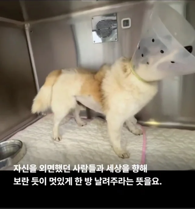 세상을 향해 날릴 멋진 한 방, 펀치! 현장 사진