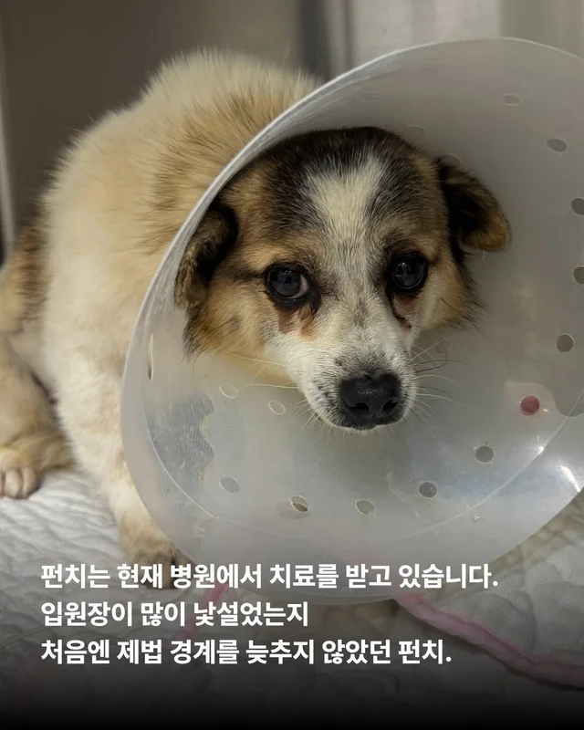 세상을 향해 날릴 멋진 한 방, 펀치! 현장 사진