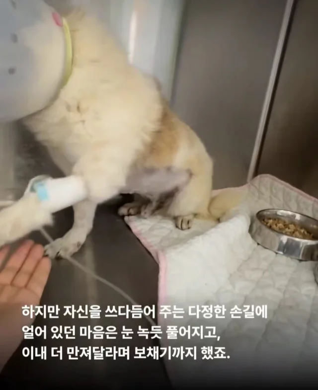세상을 향해 날릴 멋진 한 방, 펀치! 현장 사진