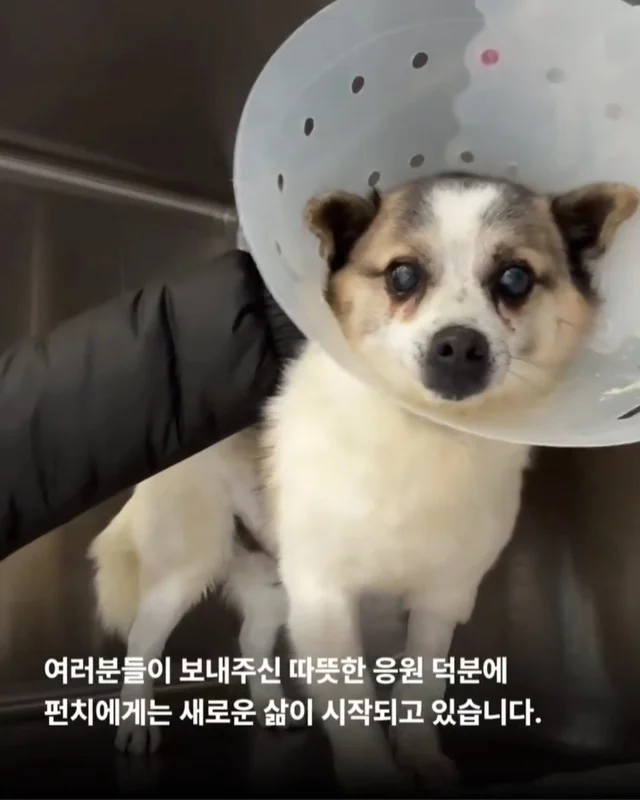 세상을 향해 날릴 멋진 한 방, 펀치! 현장 사진
