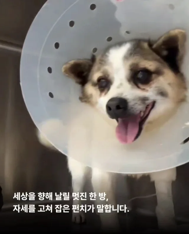 세상을 향해 날릴 멋진 한 방, 펀치! 현장 사진