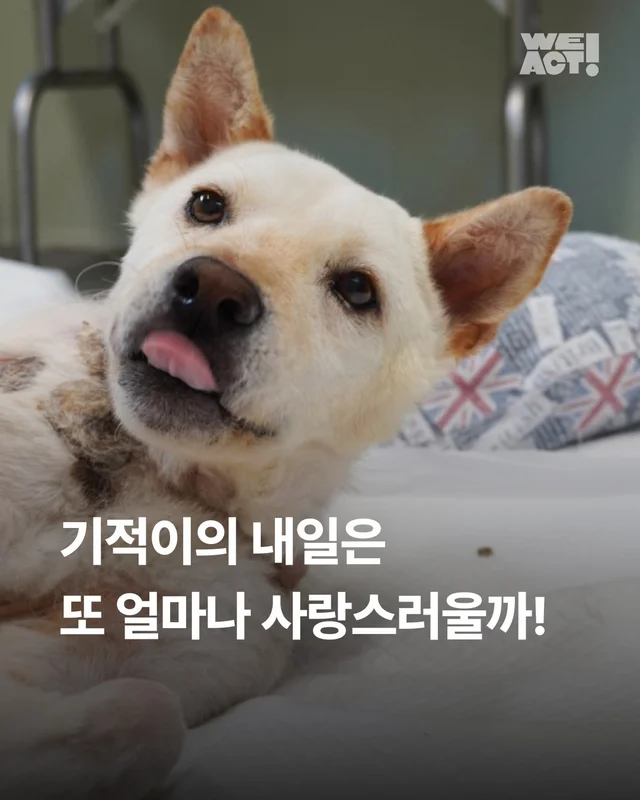 기적이의 내일은 또 얼마나 사랑스러울까 현장 사진