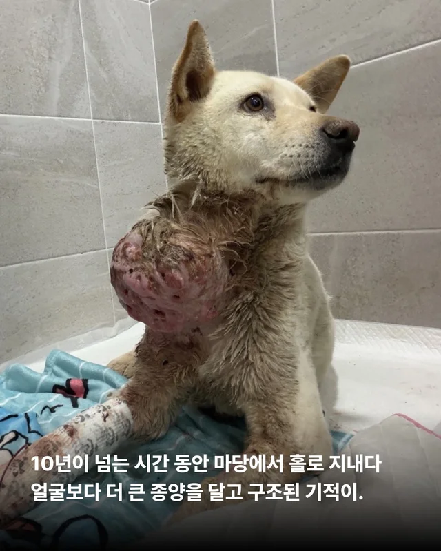 기적이의 내일은 또 얼마나 사랑스러울까 현장 사진