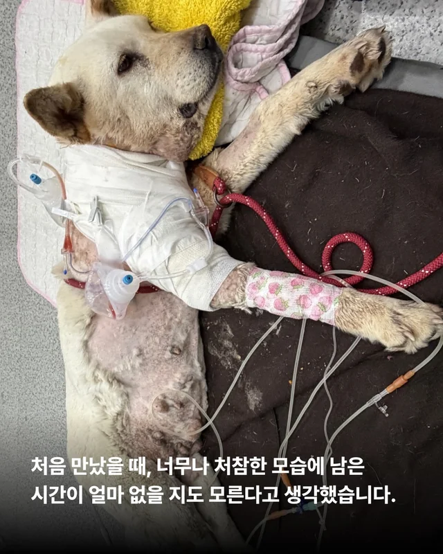 기적이의 내일은 또 얼마나 사랑스러울까 현장 사진