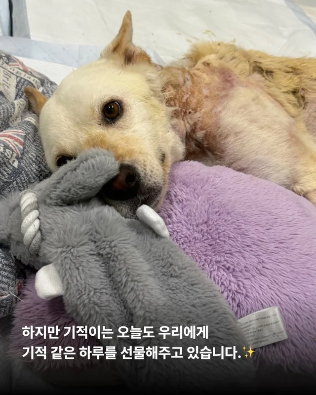 기적이의 내일은 또 얼마나 사랑스러울까 현장 사진