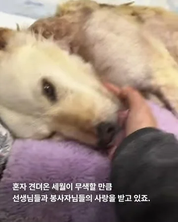 기적이의 내일은 또 얼마나 사랑스러울까 현장 사진