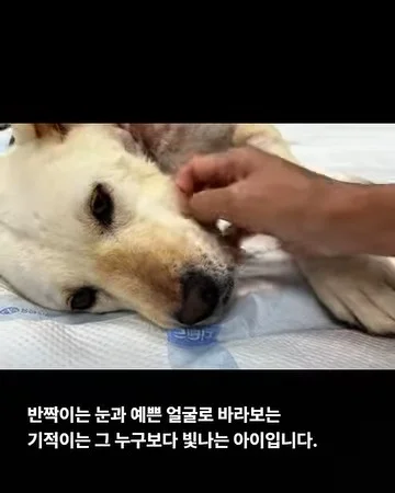 기적이의 내일은 또 얼마나 사랑스러울까 현장 사진