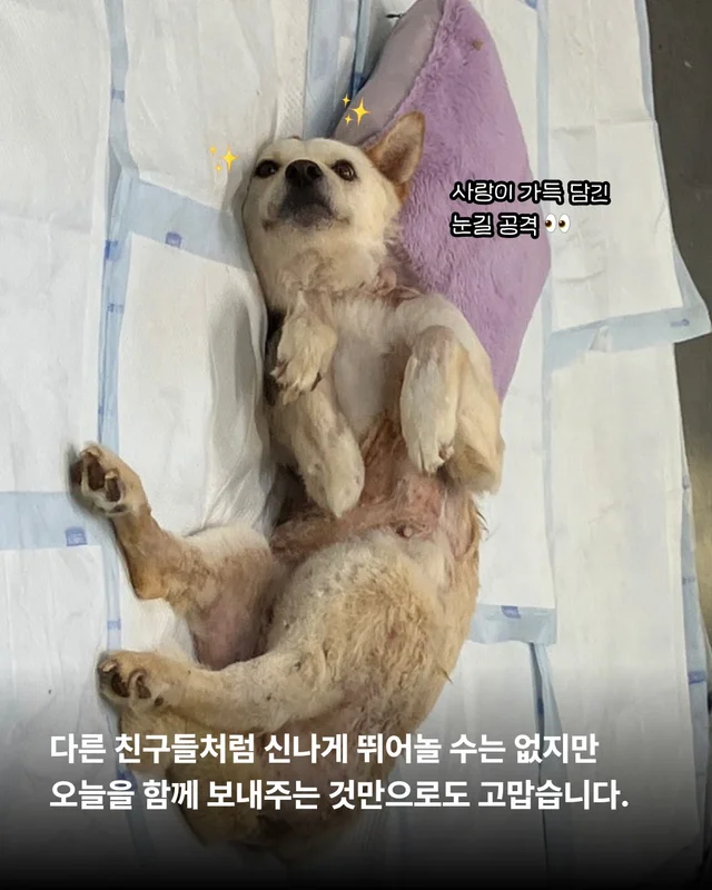 기적이의 내일은 또 얼마나 사랑스러울까 현장 사진