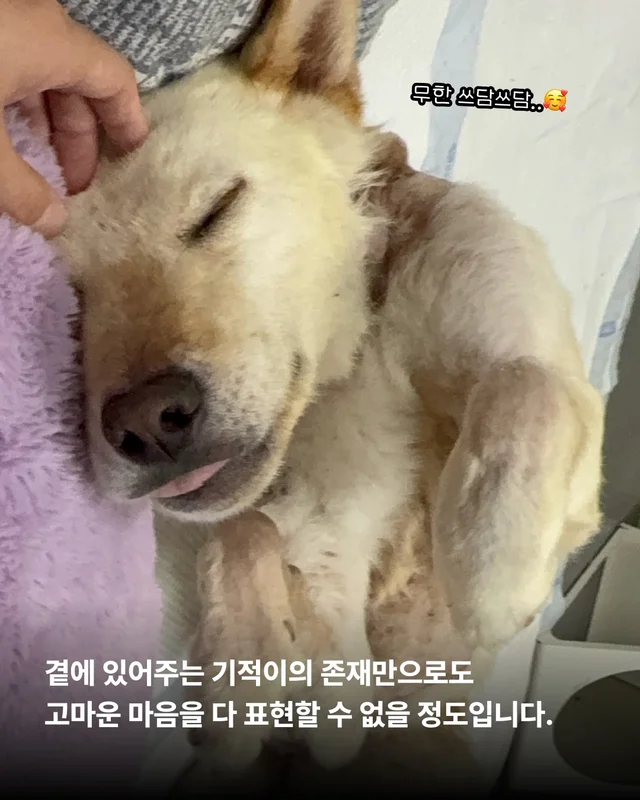 기적이의 내일은 또 얼마나 사랑스러울까 현장 사진