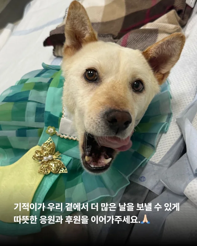 기적이의 내일은 또 얼마나 사랑스러울까 현장 사진