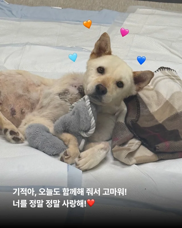 기적이의 내일은 또 얼마나 사랑스러울까 현장 사진