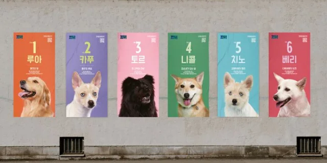 패드 배변 성공률 100%, 나를 입양하시개[지구용] 보도 사진
