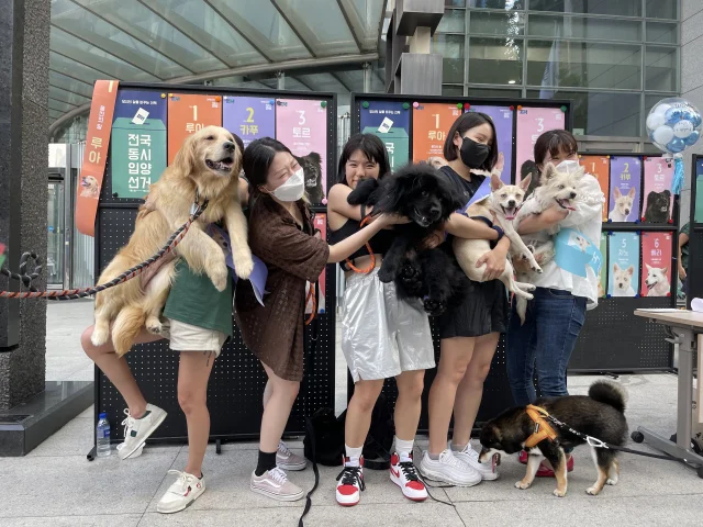 패드 배변 성공률 100%, 나를 입양하시개[지구용] 보도 사진