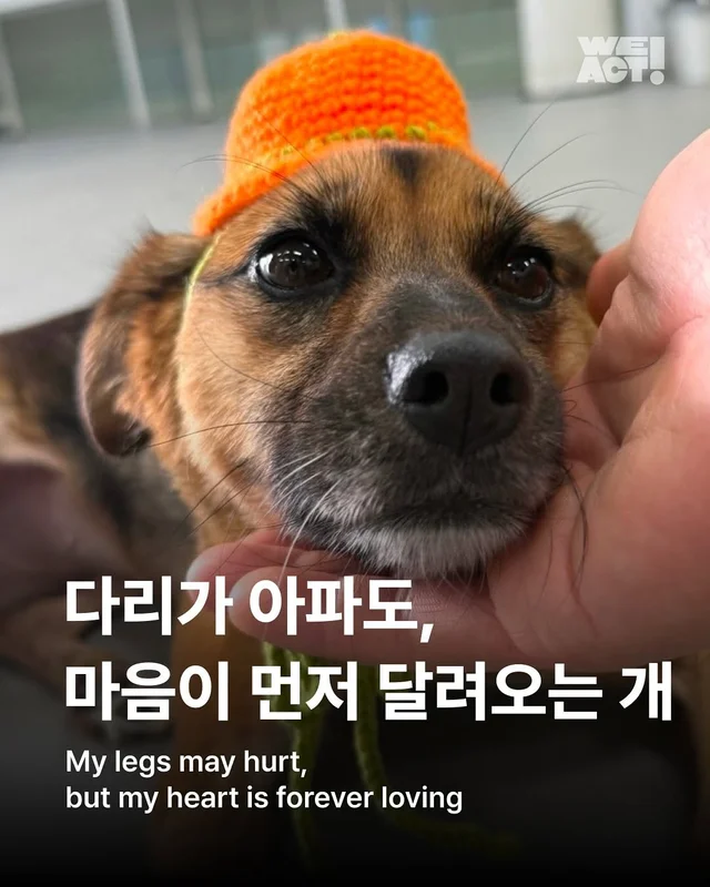 경북산불구조 - 위액트 퐁듀 현장 사진