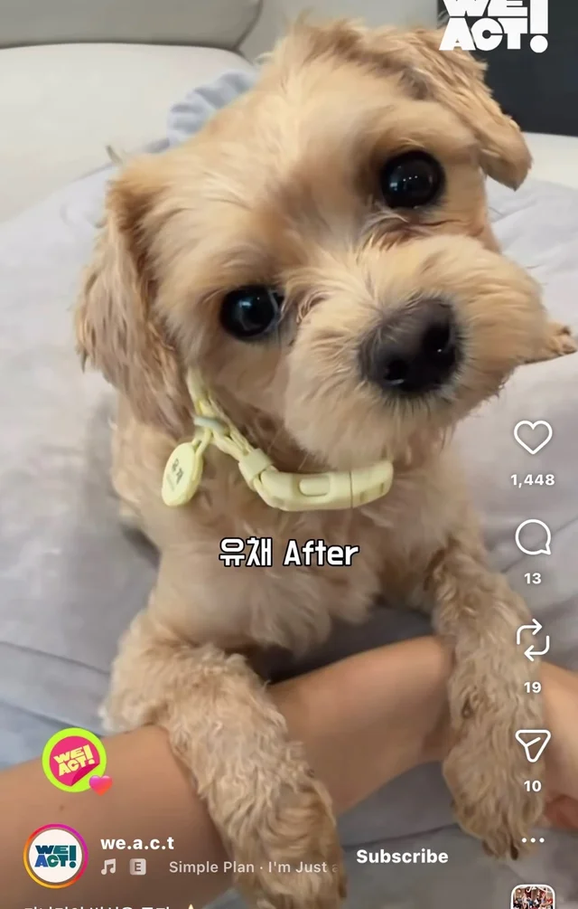 가나디의 변신은 무죄 현장 사진