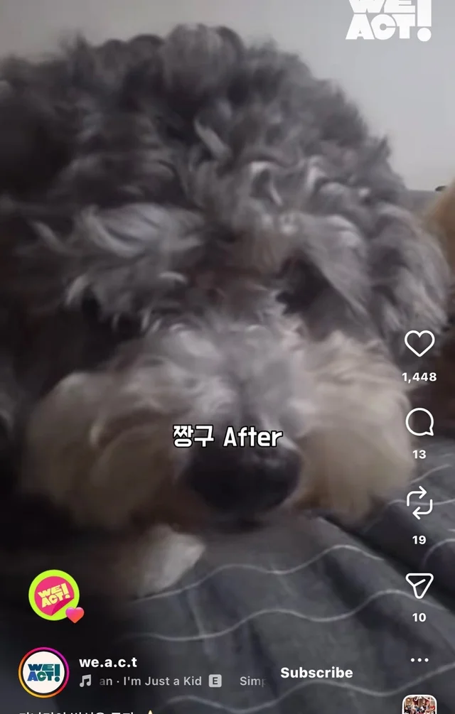 가나디의 변신은 무죄 현장 사진