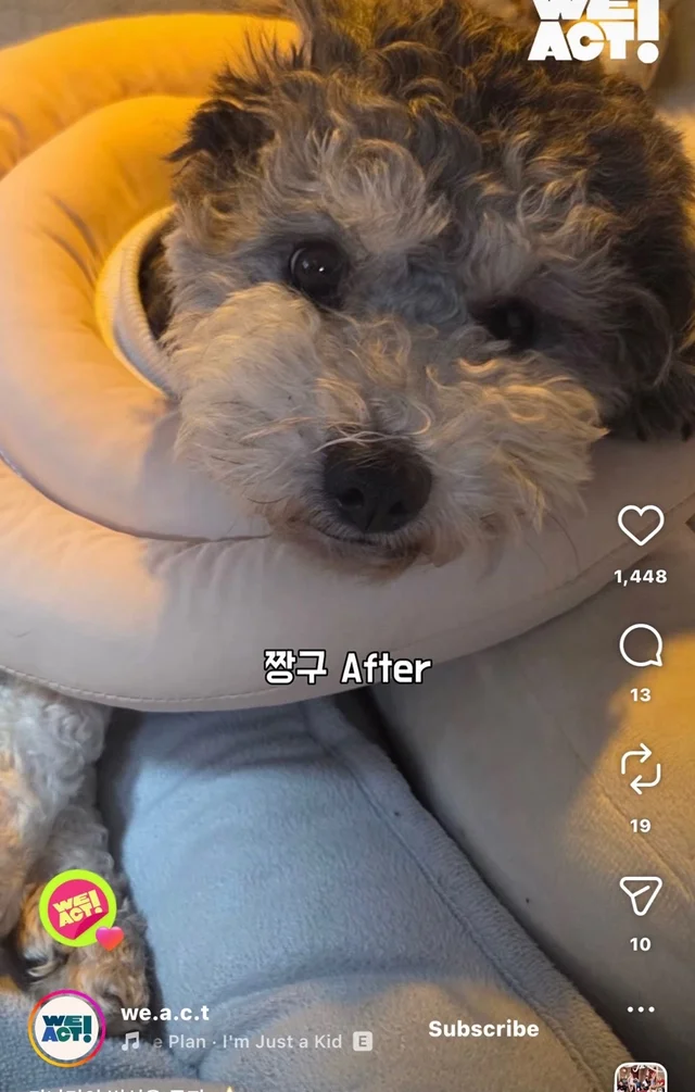가나디의 변신은 무죄 현장 사진