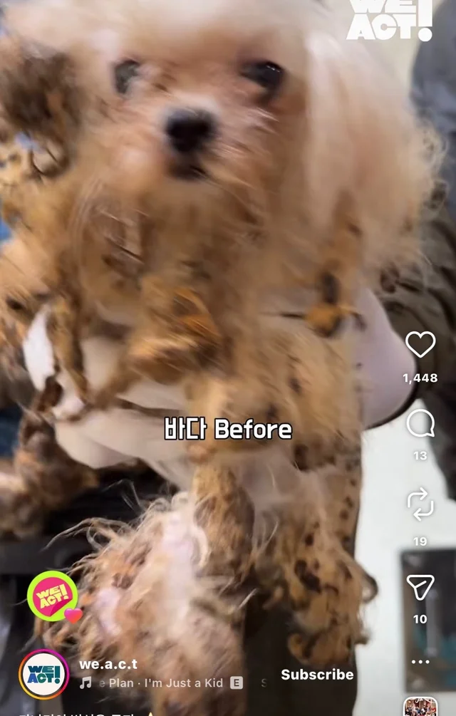가나디의 변신은 무죄 현장 사진