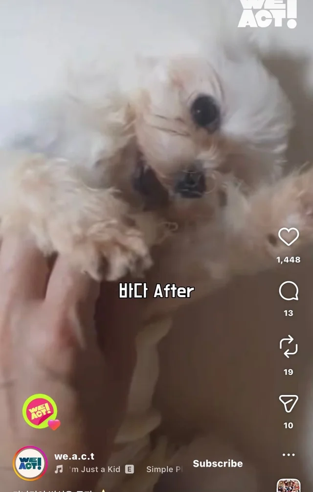 가나디의 변신은 무죄 현장 사진