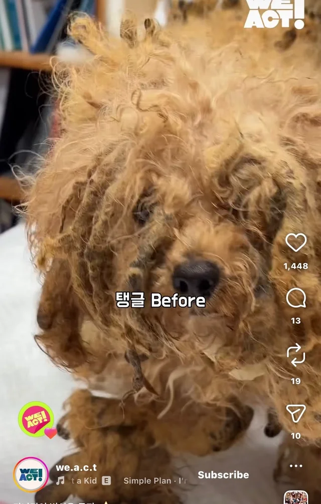 가나디의 변신은 무죄 현장 사진