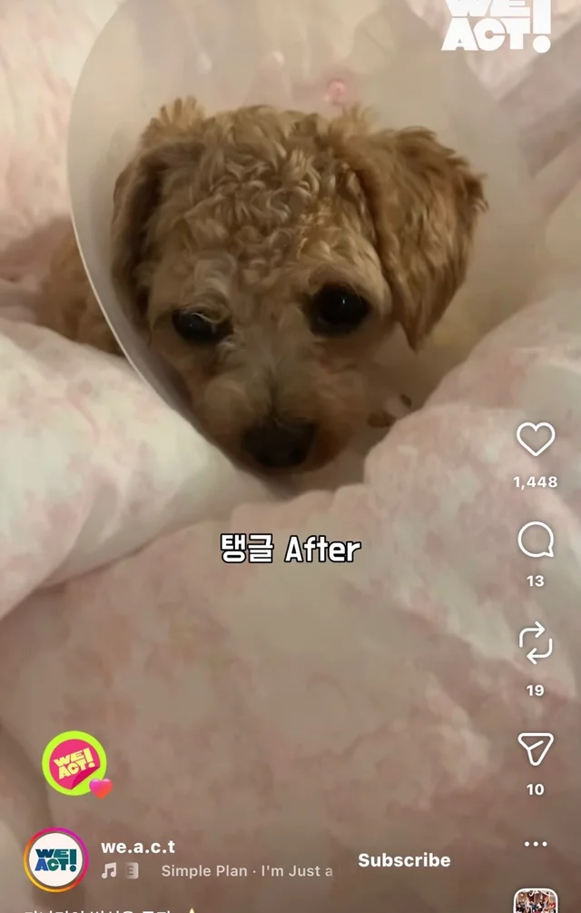 가나디의 변신은 무죄 현장 사진