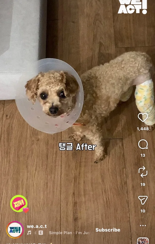 가나디의 변신은 무죄 현장 사진