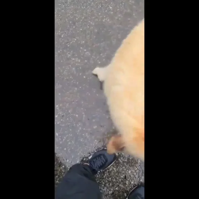 향산리개농장_2 현장 사진