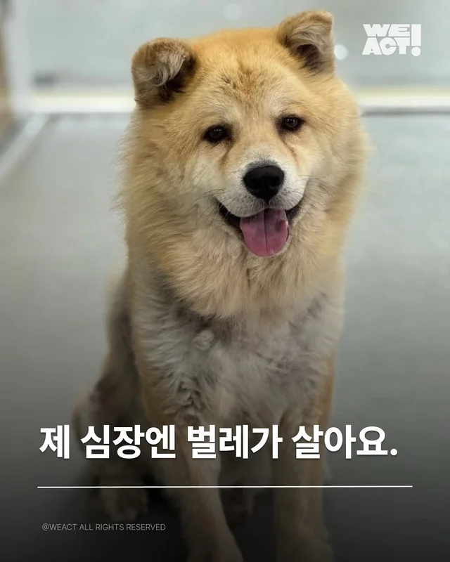 경북산불구조 - 위액트요요, 위액트틸리, 위액트티로,.. 현장 사진