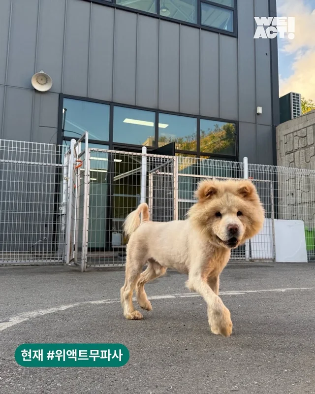 경북산불구조 - 위액트요요, 위액트틸리, 위액트티로,.. 현장 사진