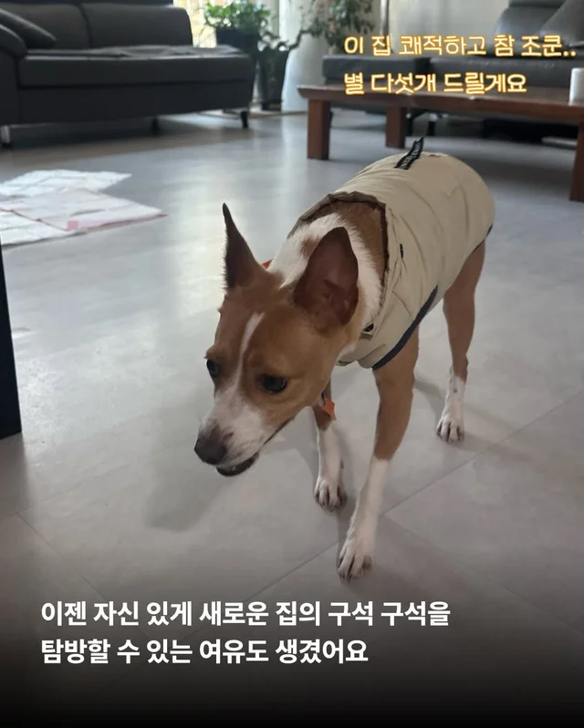 카멜아~ 행운을 빌게! #위액트카멜 현장 사진