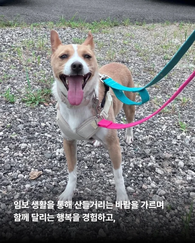 카멜아~ 행운을 빌게! #위액트카멜 현장 사진