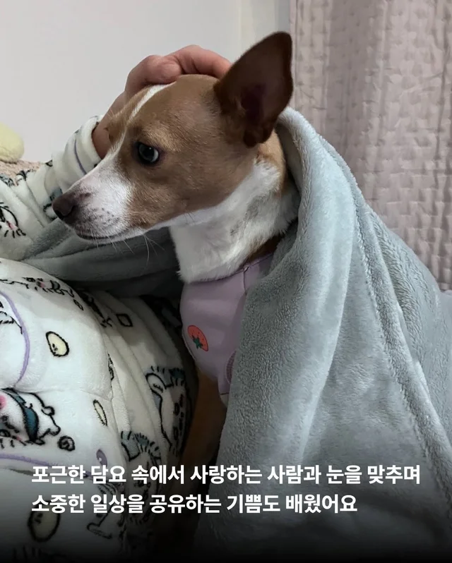 카멜아~ 행운을 빌게! #위액트카멜 현장 사진