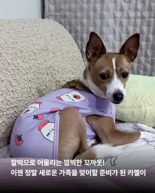 카멜아~ 행운을 빌게! #위액트카멜 현장 사진