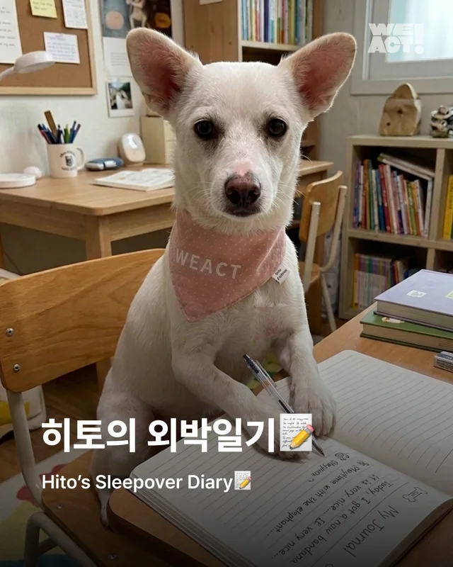 히토의 외박일기 현장 사진
