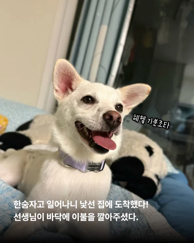 히토의 외박일기 현장 사진